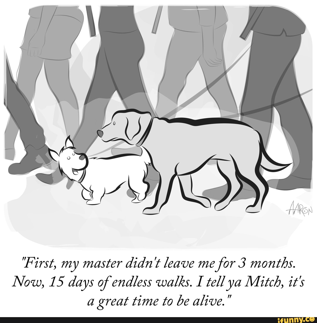 First, my master didnt leave me for 3 months.
Now, 15 days of endless walks. I tell ya Mitch, it's
a great time to be alive.