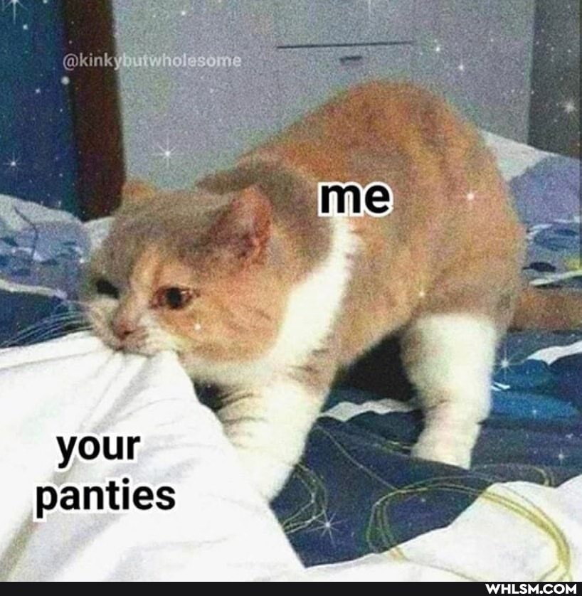 @kinky
your panties