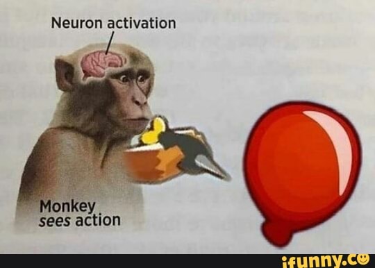 Neuron activation Monkey Sees action - iFunny Brazil