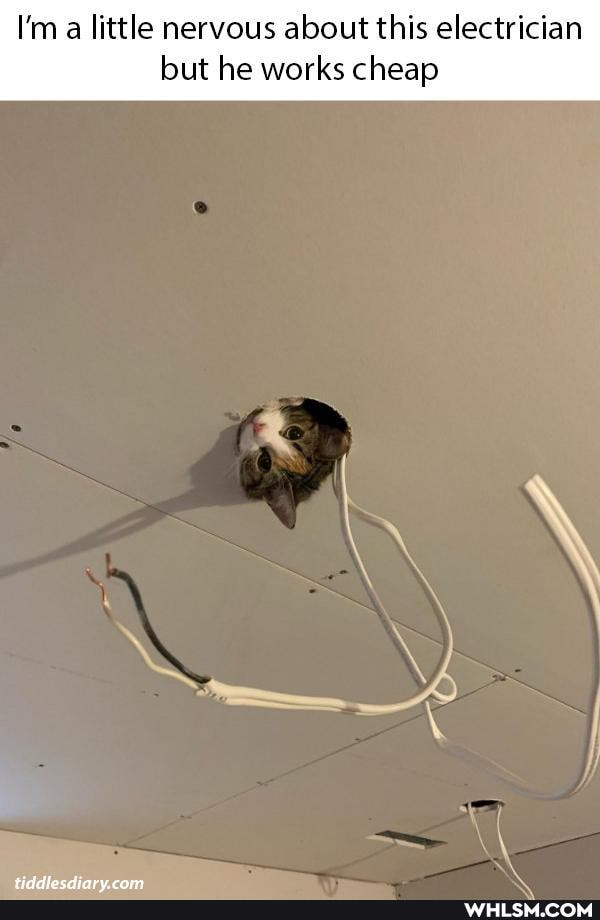 I'm a little nervous about this electrician but he works cheap