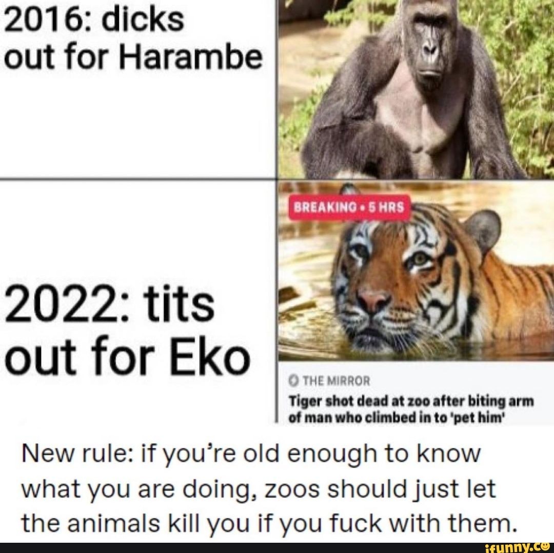 Tits out for harambe