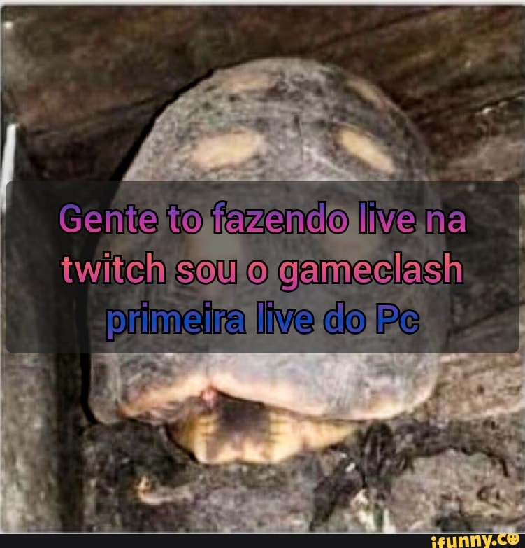 Genita to fazendo live na twiteh sou o gamecash primeira live