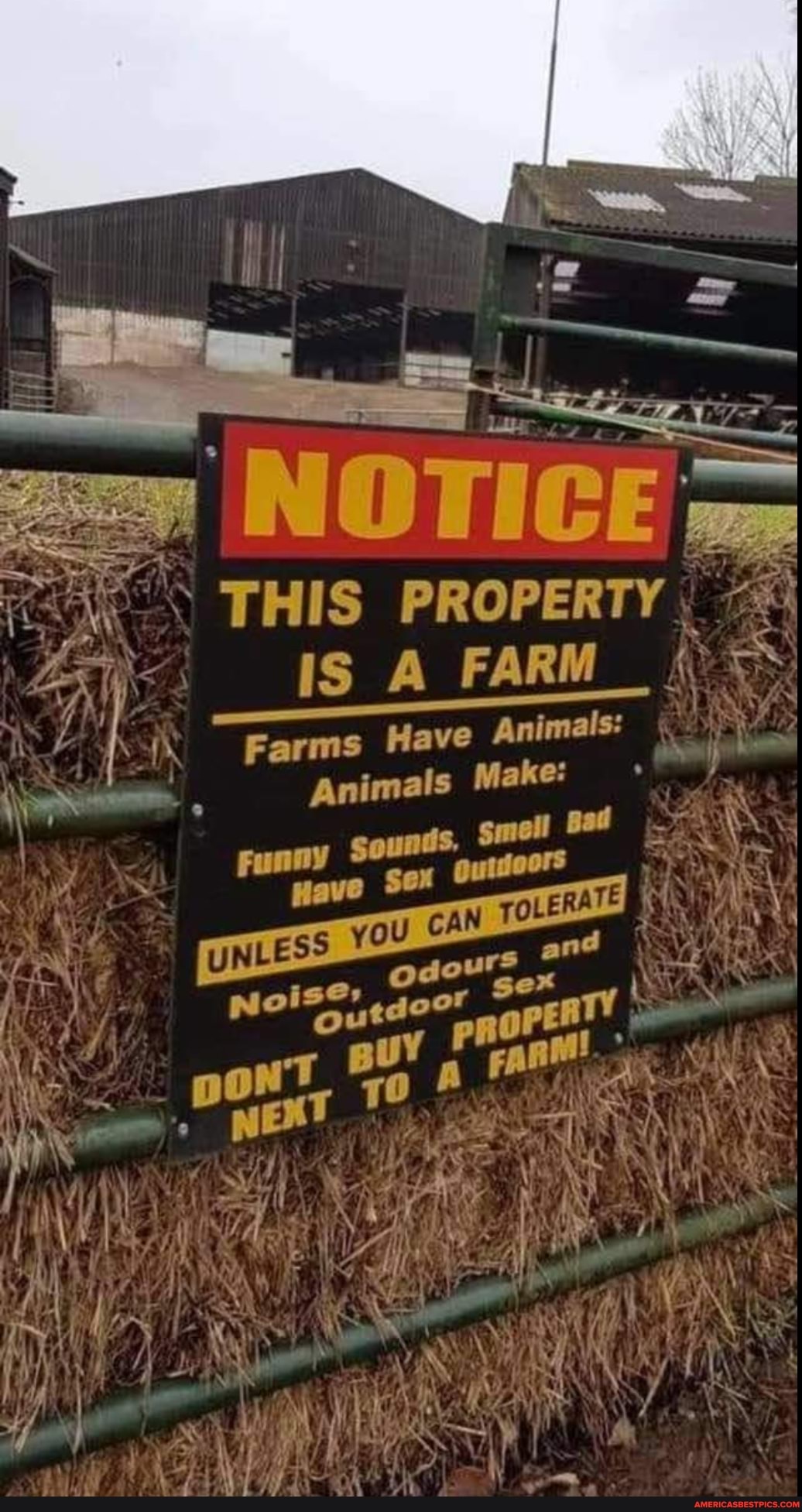 THIS PROPERTY
IS FARM_
Farms Have Animals:
Animals Make:
Funny sound wave Sex smell Bad wave Sex gutdoors
TOLERA
and
NE T 70 \ iN MLA RS \