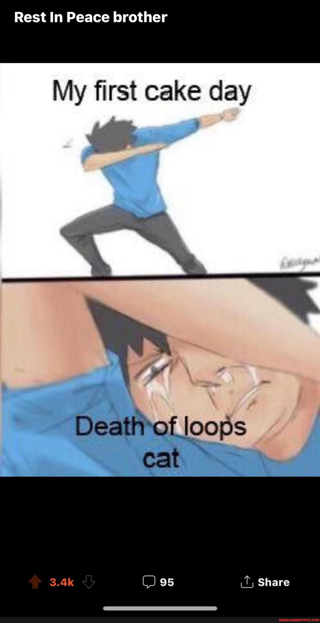 Rest In Peace brother
My first cake day
loops
Cat
Share