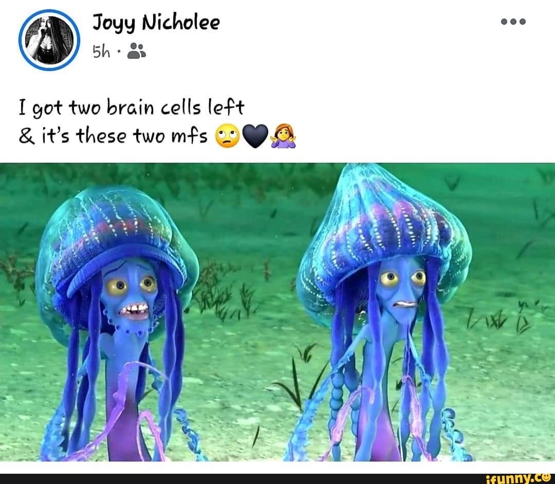 I got two brain cells left it's these two mfs YA