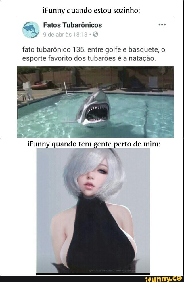 iFunny quando estou sozinho:
Fatos Tubarônicos c..
de abr
fato tubarônico 135. entre golfe e basquete, o esporte favorito dos tubarões é a natação.
iFunny quando tem gente perto de mim: