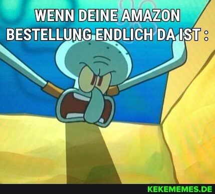 WENN DEINE AMAZON BESTELLUNG ENDLICH DA IST: