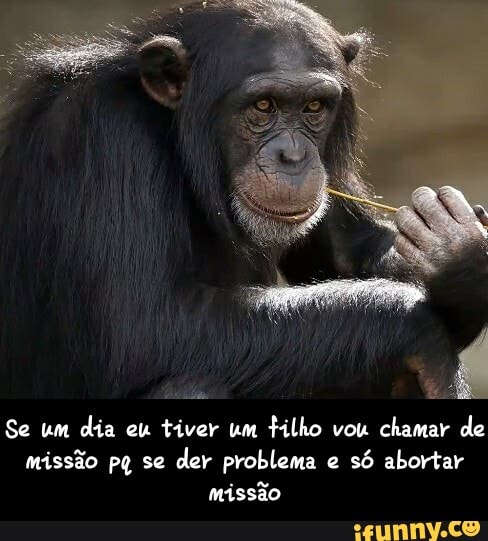 Se um dia eu tiver um tilho vou chamar de missão pq se der problema e só abortar missão - Se um dia eu tiver um filho vou chamar de missão pq se der problema e só abortar missão
