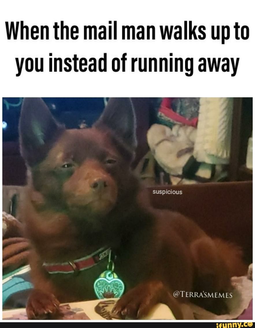 When the mail man walks up to
you instead of running away