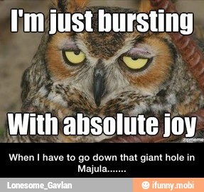 im just bursting
a
sa Ps fo With absolute I joy
When I have to go down that giant hole in - When I have to go down that giant hole in Majula.......
