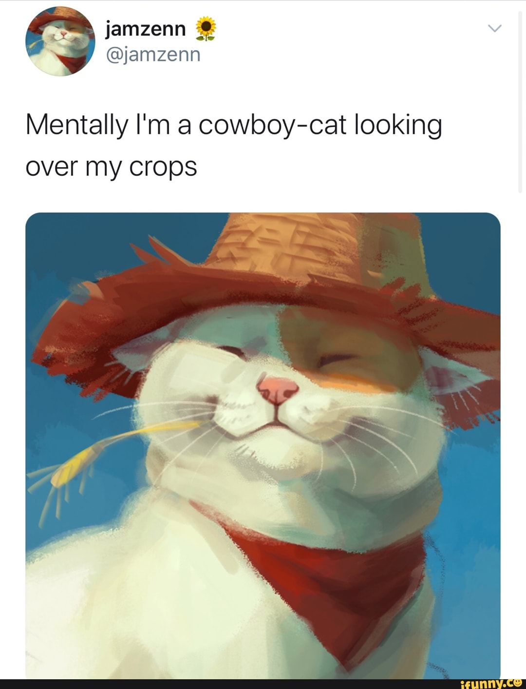 Mentally I'm a cowboy-cat looking over my crops