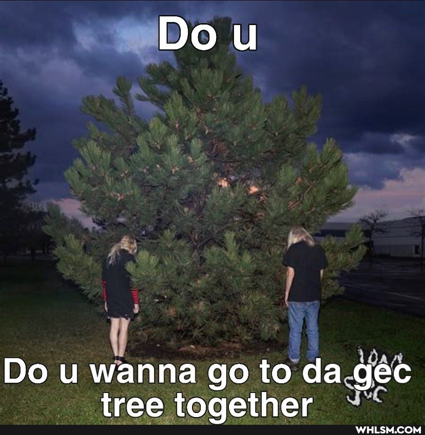 Do u
Do u wanna go to da gec tree together