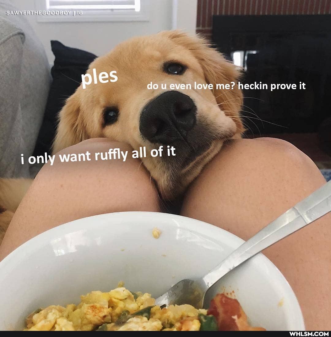SAWYERTHEGOODBOY [16
do u even love me? heckin prove it
i onty want ruffly all of it