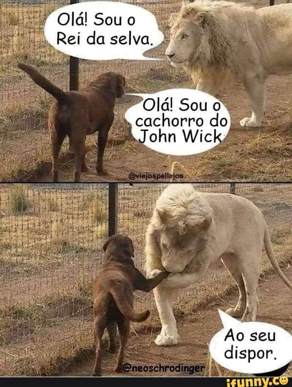 Sou
Rei da selva.
Olá! Sou cachorro do a