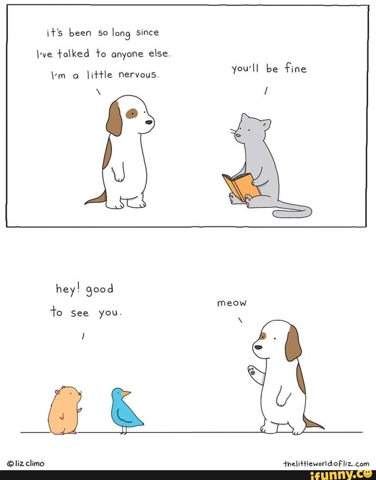 it's been so long since
\we talked to anyone else.
you'll be fine
\rm a little nervous.
\ /
hey! good to see you.
Gi &
com