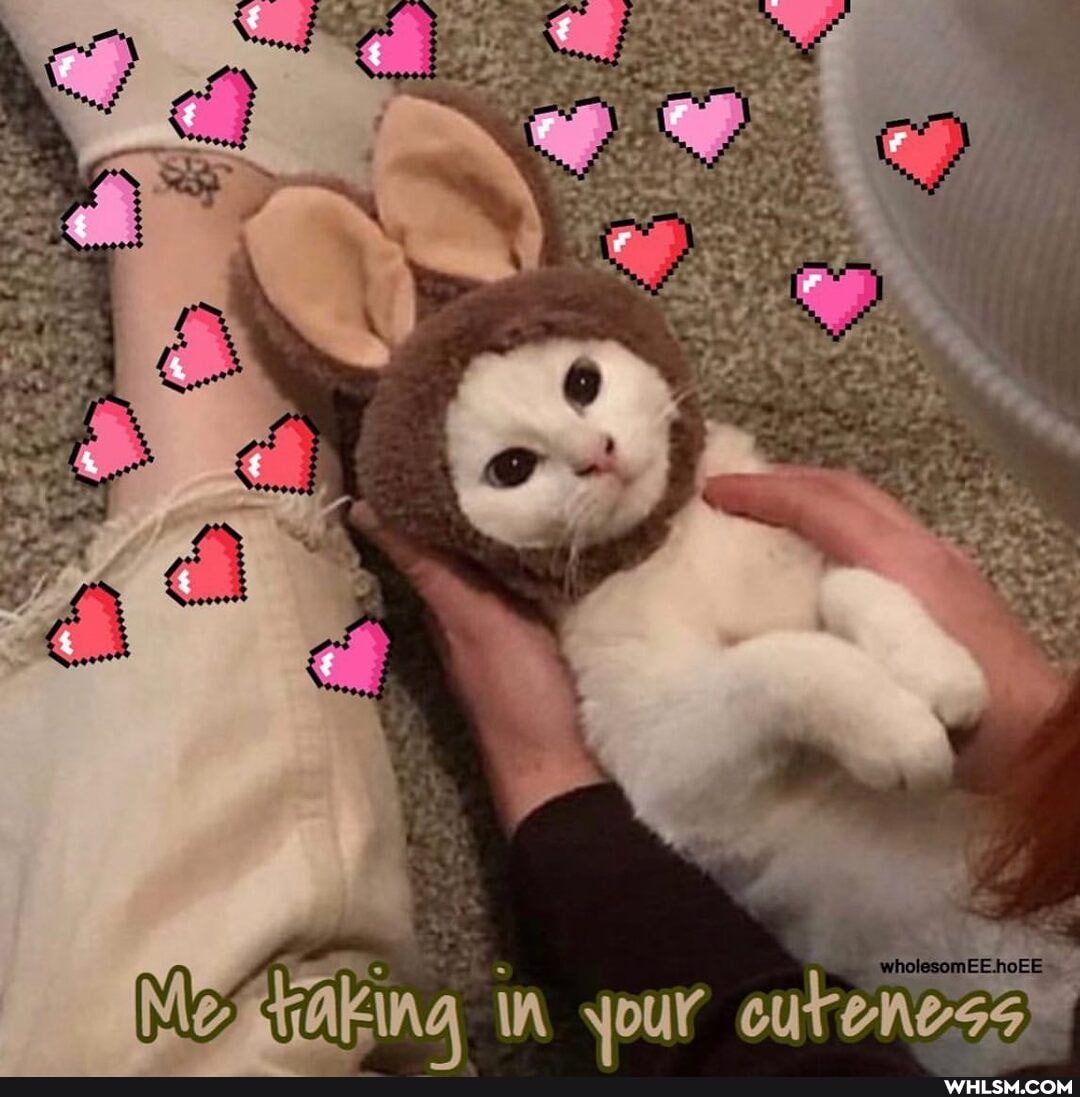 Megtaking your cuteness