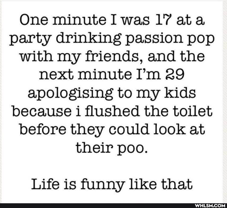 One minute I was 17 at party drinking passion pop with my friends, and the next minute I'm 29 apologising to my kids because i flushed the toilet before they could look at their poo.
Life is funny like that