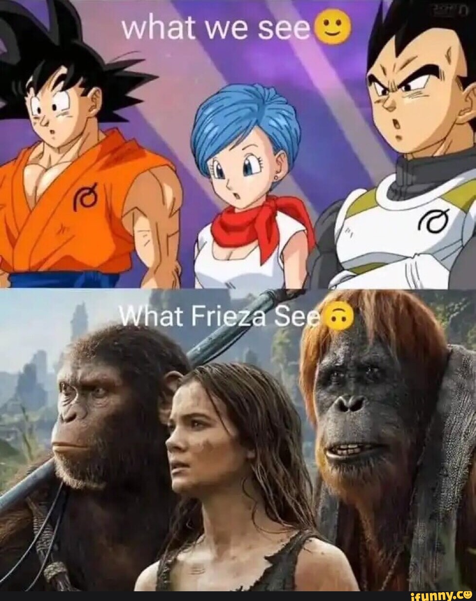 What we sea I What brieza See - iFunny