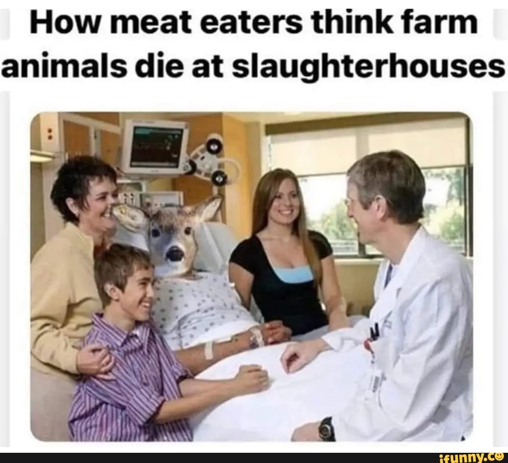 how-meat-eaters-think-farm-animals-die-at-slaughterhouses-ifunny