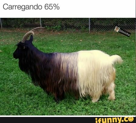 Carregando 65%