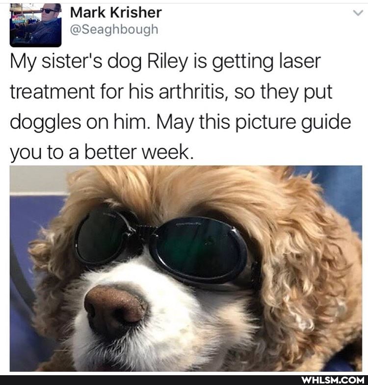 Mark Krisher
@Seaghbough
My sister's dog Riley is getting laser treatment for his arthritis, so they put doggles on him. May this picture guide
you to a better week.