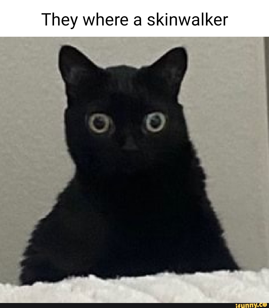 They Where A Skinwalker - Ifunny