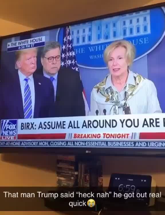 DE
BIRX: ASSUME ALL AROUND YOU ARE I
II BREAKING TONIGHT I/
Lori
That man Trump said "heck nah" he got out real
quick)