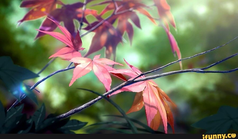 anime, nature, beautiful, kawaii, view