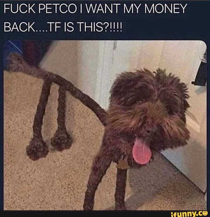 FUCK PETCO WANT MY MONEY BACK....TF IS THIS?!