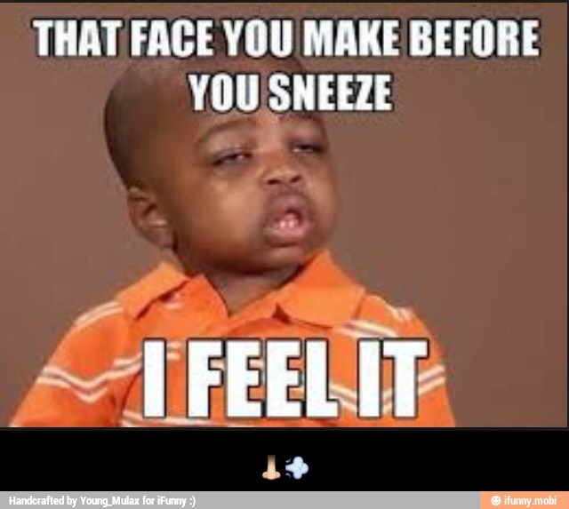 THAT FACE YOU MAKE BEFORE
YOU SNEEZE - ππ¨