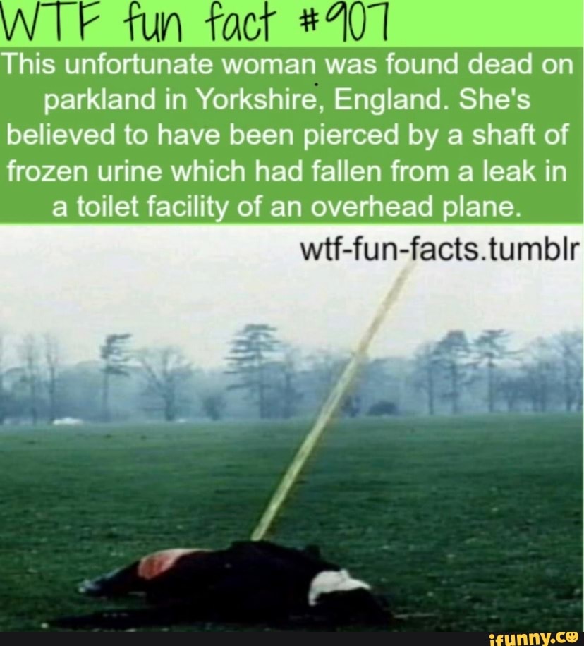 Wtf факт. Wtf факт. Адамс, сэмюэл (политик). Фан факт. Сэмюэл адамс.