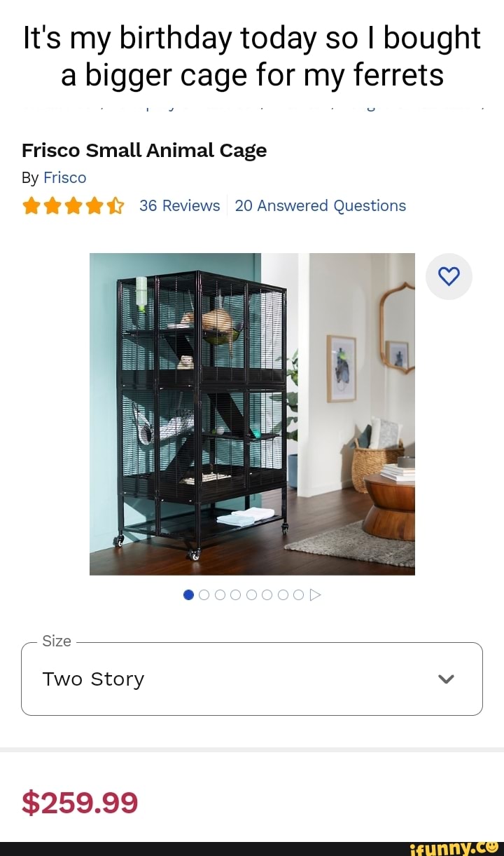 It's my birthday today so bought a bigger cage for my ferrets Frisco