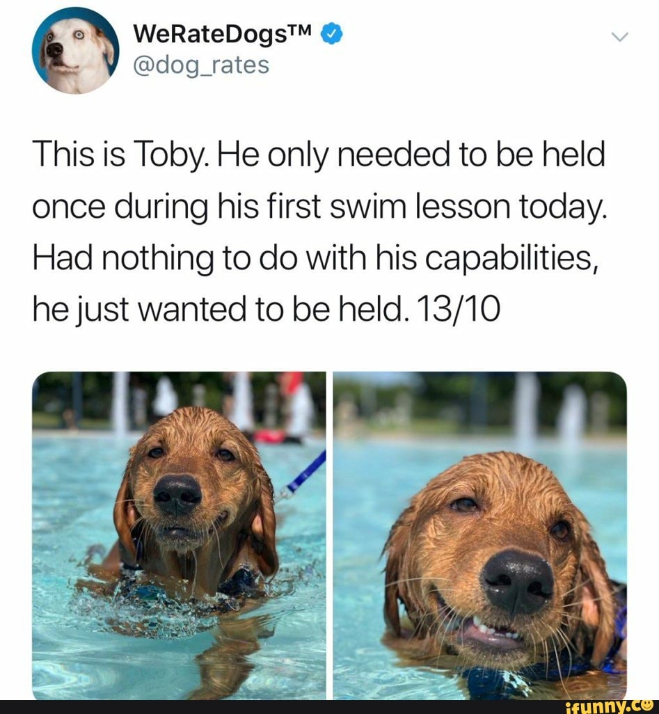 RM This is Toby. He only needed to be held
once during his first swim lesson today.
Had nothing to do with his capabilities,
he just wanted to be held. 13/10