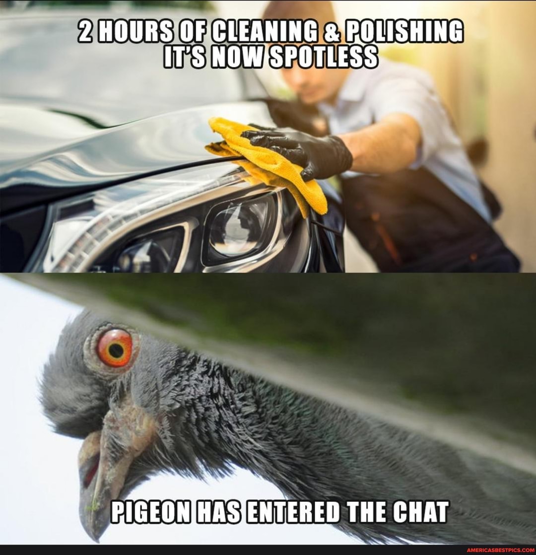 2 HOURS OF cfEANING ROLISHING IT'S NOW :SPOTLESS.
ENTERED D THE CHAT
