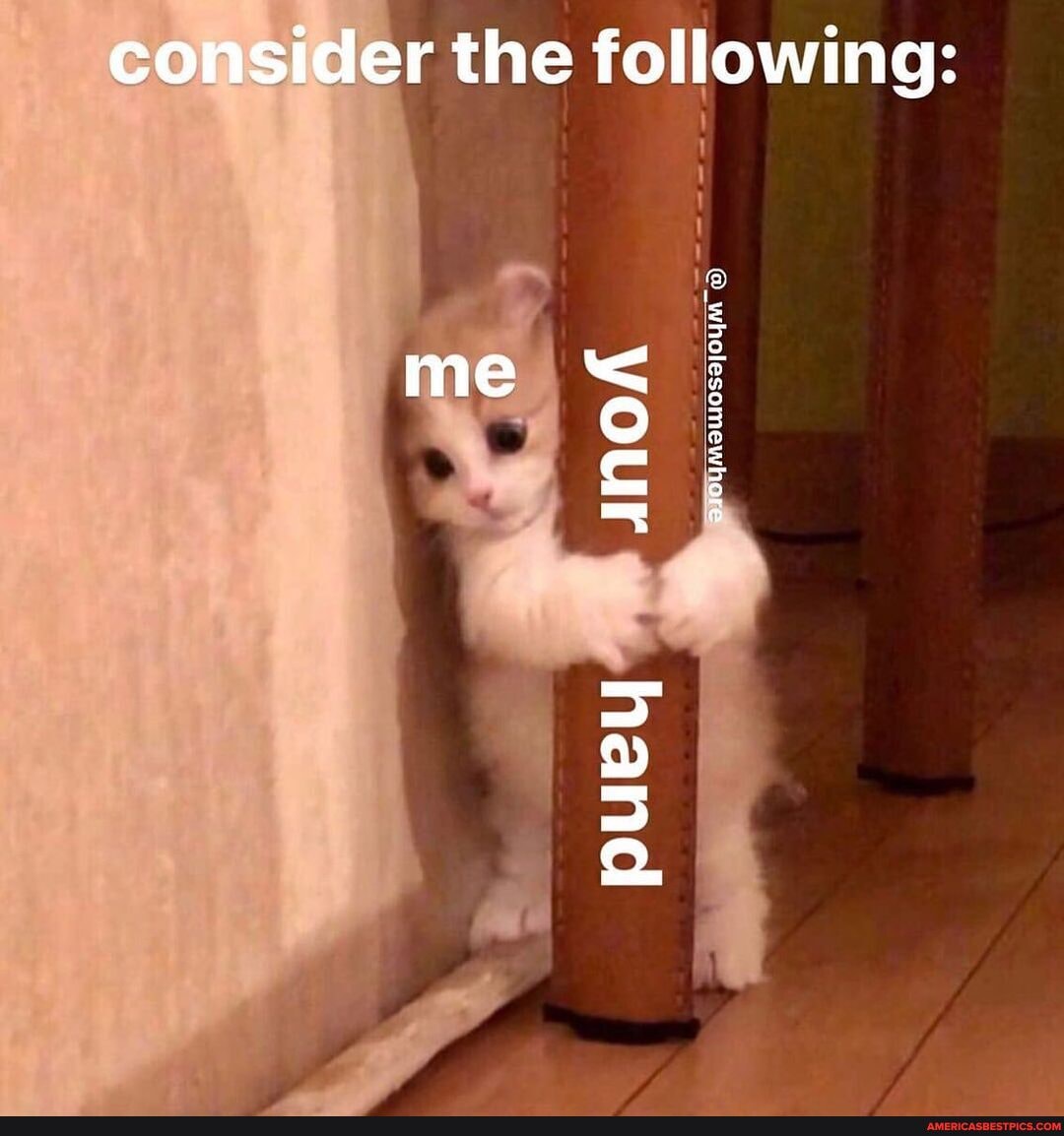 consider the followings:
InoA
puey