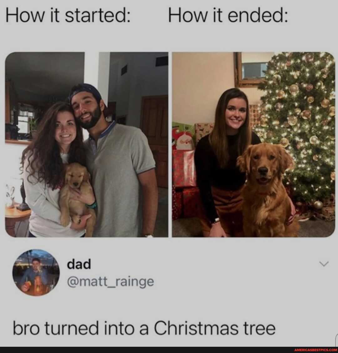 How it started: How it ended:
@matt_rainge
bro turned into a Christmas tree