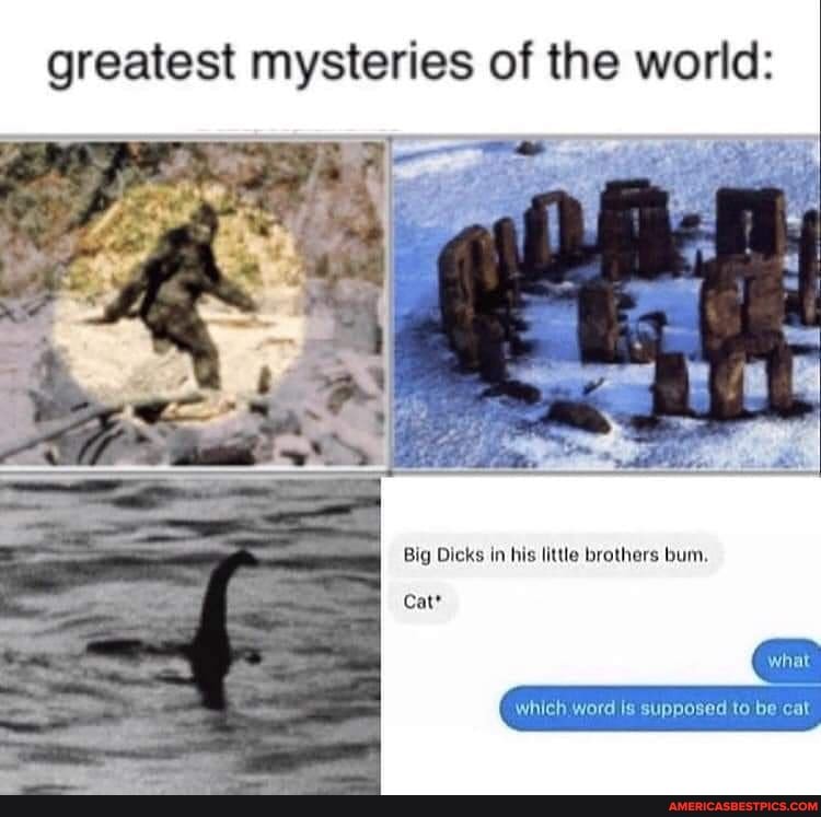 greatest mysteries of the world:
Big Dicks in his little brothers bum.
which Word Is supposed to be cat
Cat*