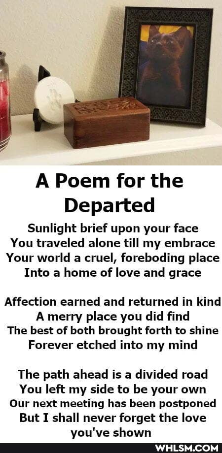 A Poem for the
Departed
Sunlight brief upon your face
You traveled alone till my embrace
Your world a cruel, foreboding place
Into a home of love and grace
Affection earned and returned in kind
A merry place you did find
The best of both brought forth to shine
Forever etched into my mind
The path ahead is a divided road
You left my side to be your own
Our next meeting has been postponed
But I shall never forget the love