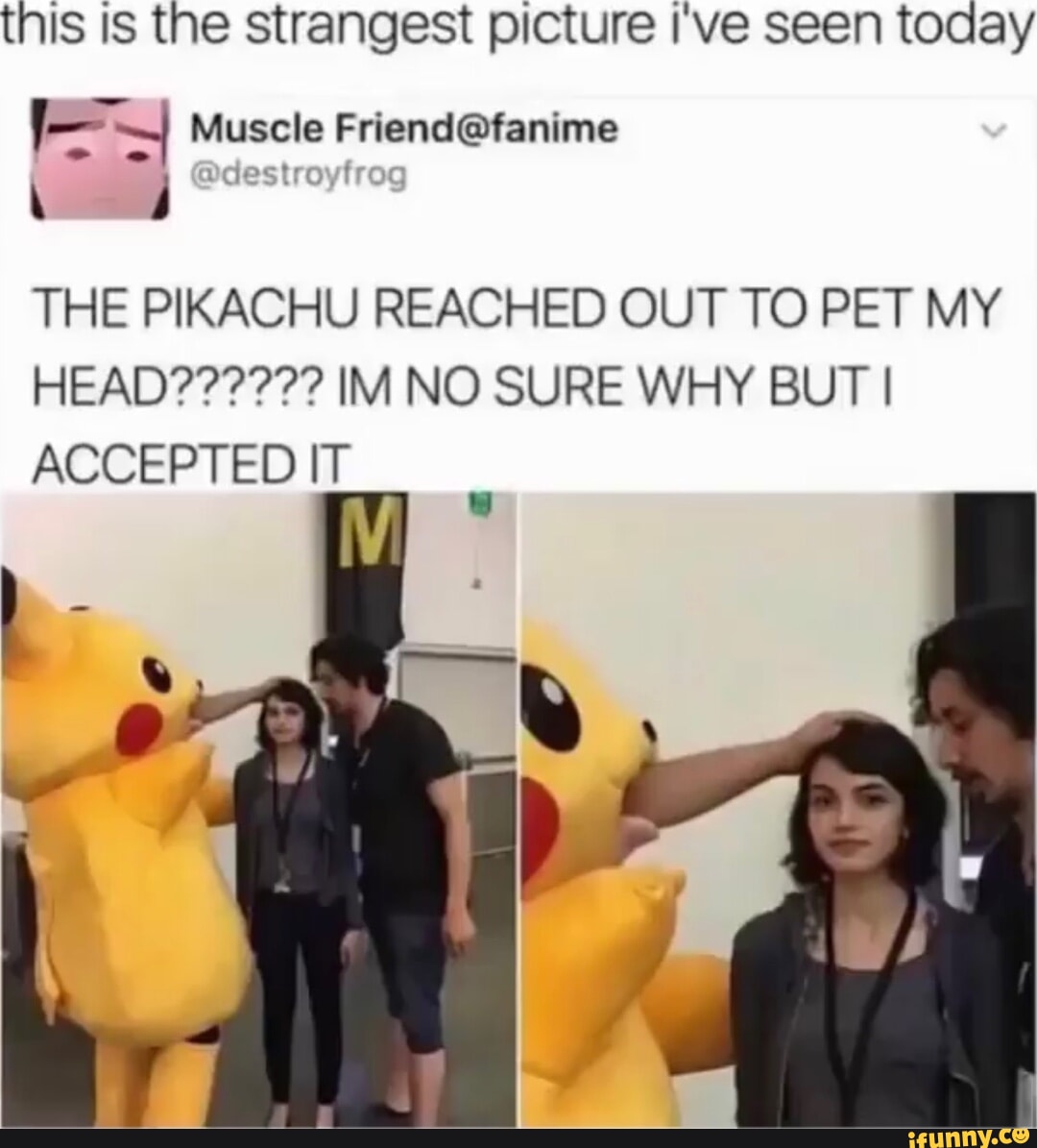 tnis is the strangest picture I've seen today Muscle ACCEPTED ag THE PIKACHU REACHED OUT TO PET MY