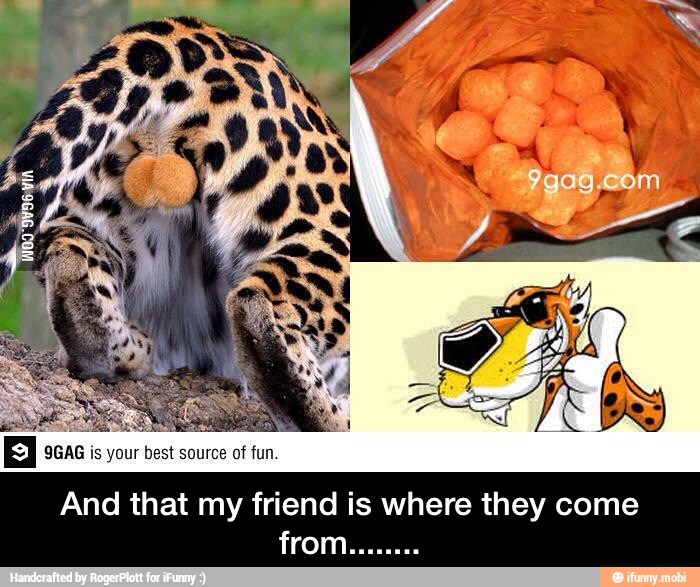 9GAG is your best source of fun. - And that my friend is where they come from........