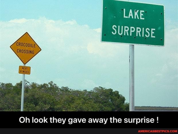 LAKE SURPRISE
Oh look they gave away the surprise ! - Oh look they gave away the surprise !