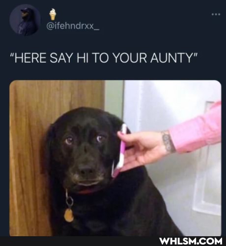 "HERE SAY Hi TO YOUR AUNTY"