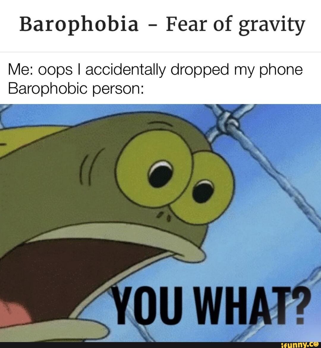 Barophobia Fear of gravity
Me: oops I accidentally dropped my phone
Barophobic person: