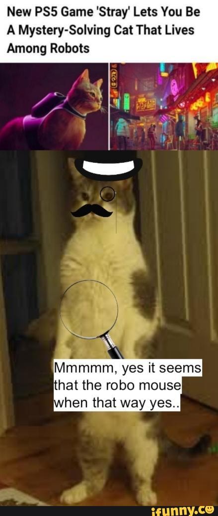 New Game 'Stray' Lets You Be
A Mystery-Solving Cat That Lives
Among Robots