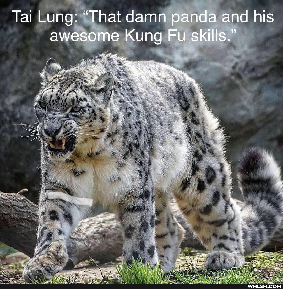 dh
Tai Lung: "That damn panda an his
Lung:
Ta
awesome Kung Fu sk