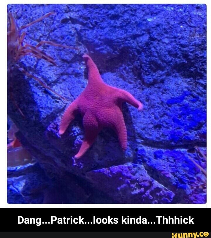 Dang...Patrick...looks kinda... Thhhick - Dang...Patrick...looks kinda...Thhhick