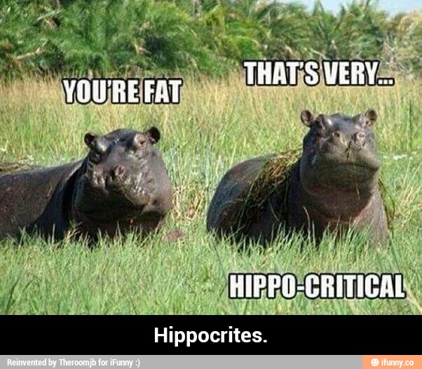 Hippocrites memes. Best Collection of funny Hippocrites pictures on iFunny