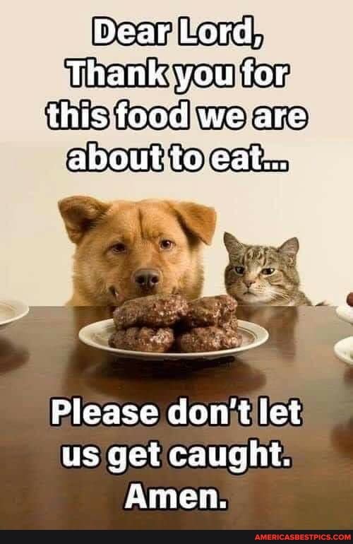 Dear Lord,
Thank tor this food we are: about-to eat...
Please don't let us get caught.
Amen: