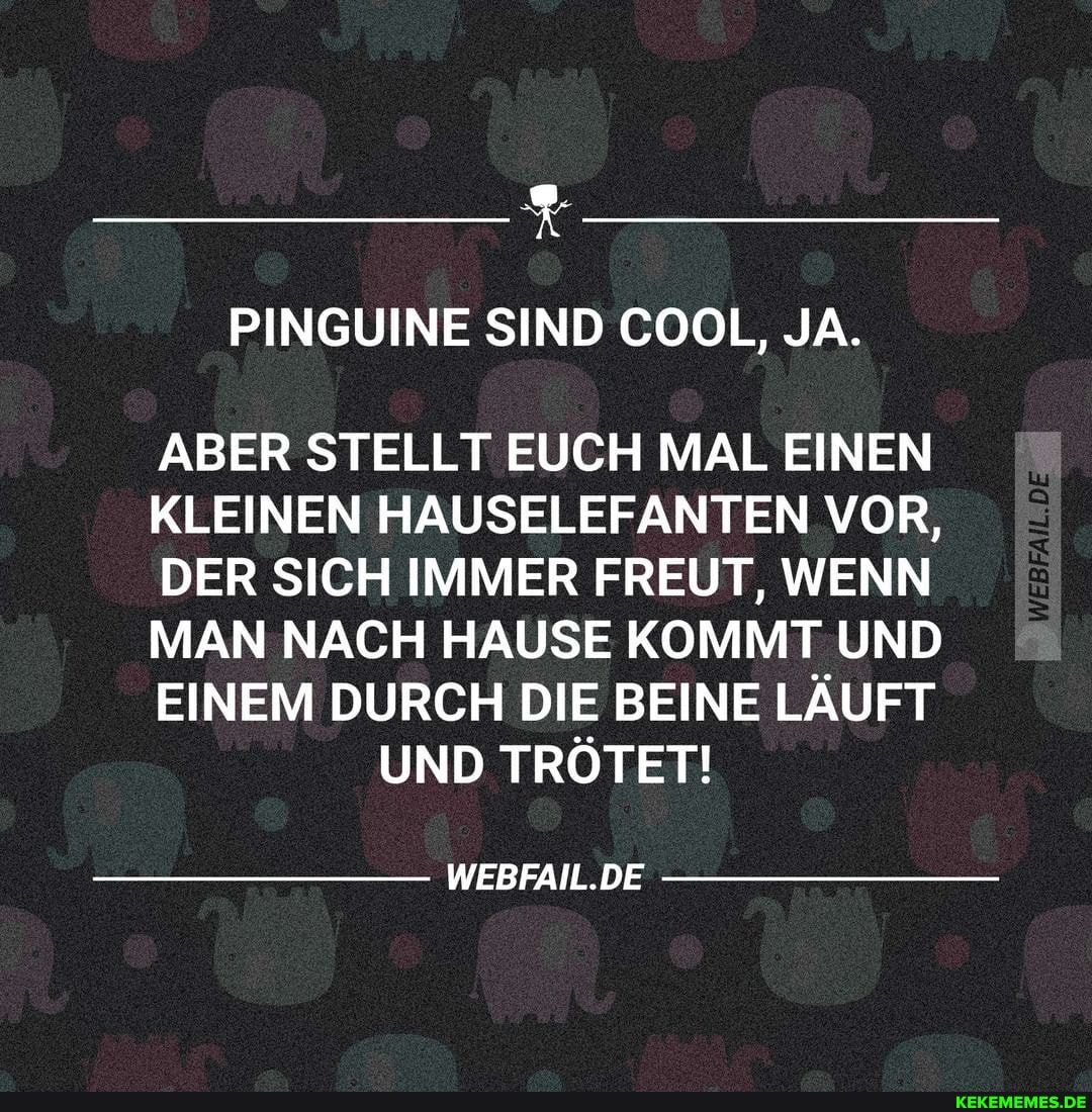 PINGUINE SIND COOL, JA.
ABER STELLT EUCH MAL EINEN
KLEINEN HAUSELEFANTEN VOR,
DER SICH IMMER FREUT, WENN
MAN NACH HAUSE KOMMT UND
EINEM DURCH DIE BEINE LÄUFT UND TRÖTET!
WEBFAIL.DE