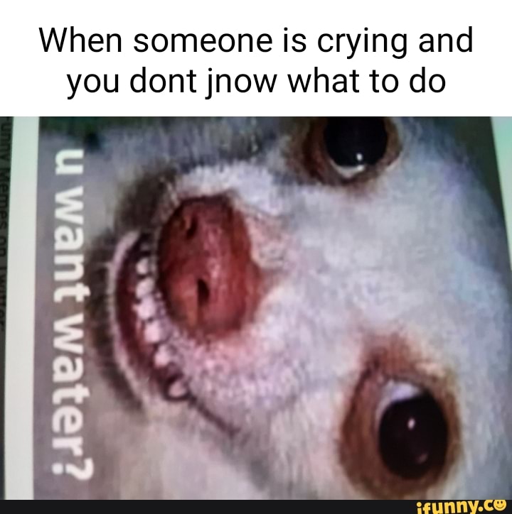 Jnow memes. Best Collection of funny Jnow pictures on iFunny